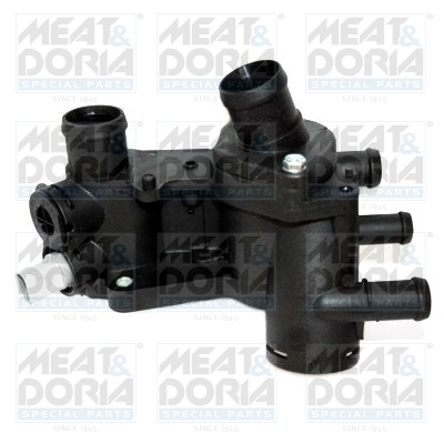 Thermostat, coolant